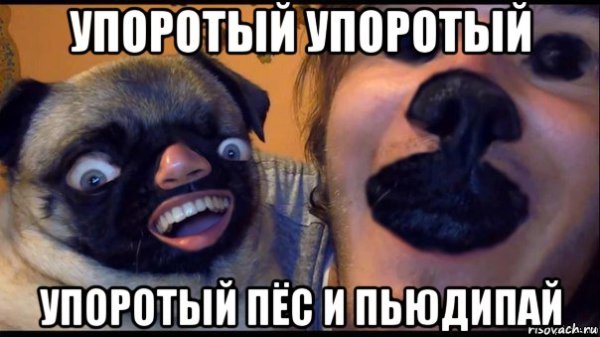 Упоротый Мем