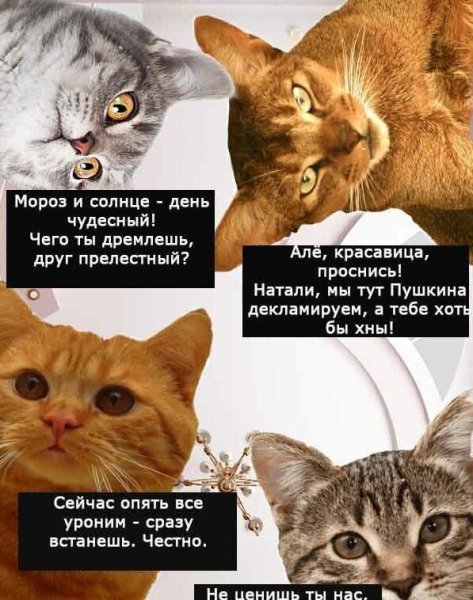 Вот такой вот ты человек с гнильцой