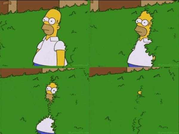 Гомер симпсон уходит в кусты