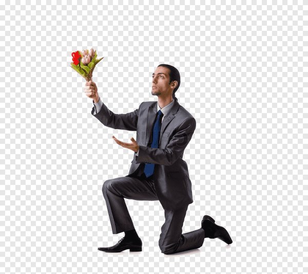 Мужчина на коленях с цветами