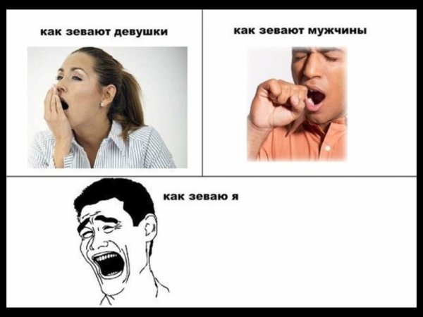 Шутки про зевоту