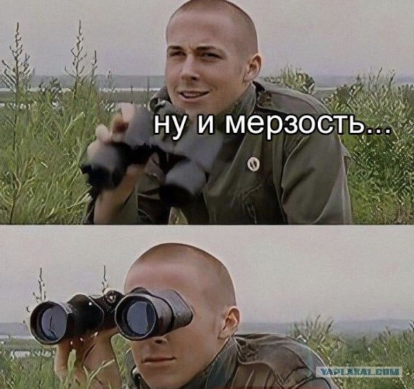 Смотрит в бинокль Мем ну и мерзость