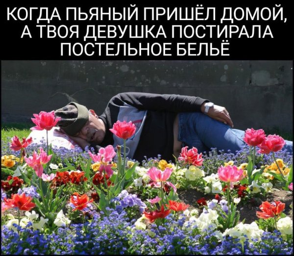 Мужчина в клумбе