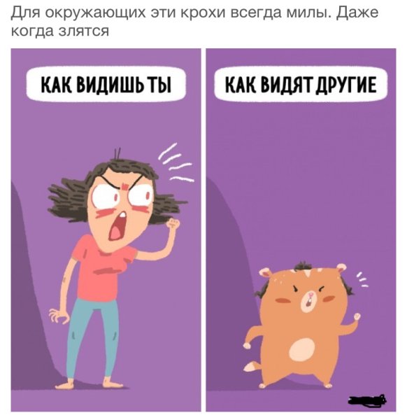 Смешные шутки про маленьких людей