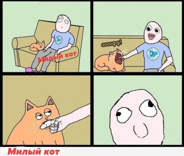 Смешные комиксы с котами