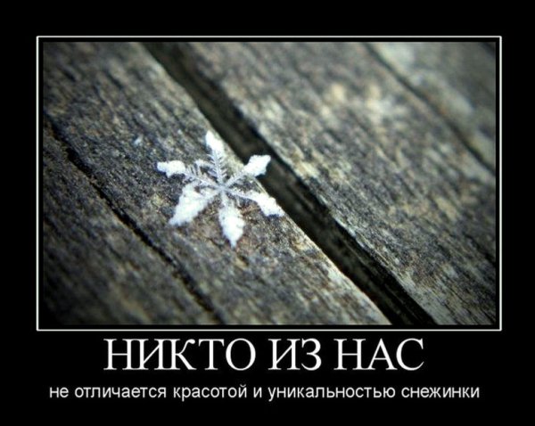 Демотиваторы со смыслом