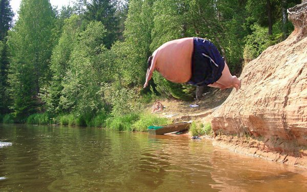 Картинки прикольные смешные