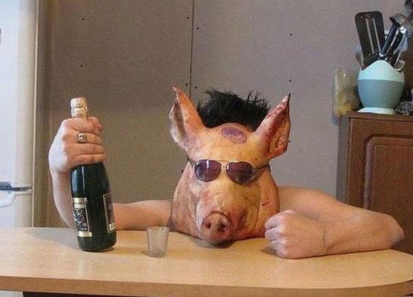 Прикольная свинья