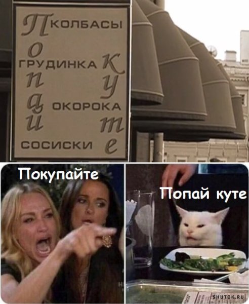 МЕММС котом и женщинами