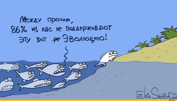 Шутки про эволюцию