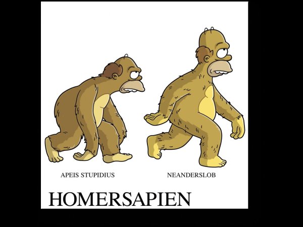 Гомер симпсон Эволюция