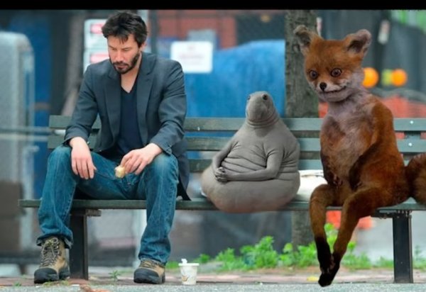 Упоротая лиса и Киану Ривз