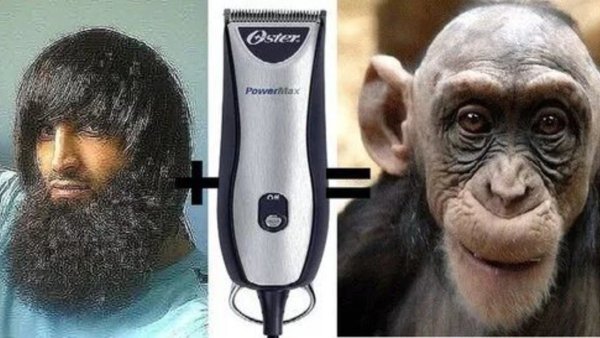 Обезьяна похожая на человека