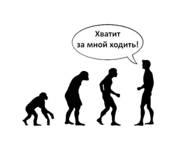 Эволюция человека мемы