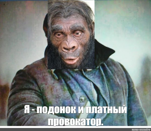 Спасибо за внимание обезьяна