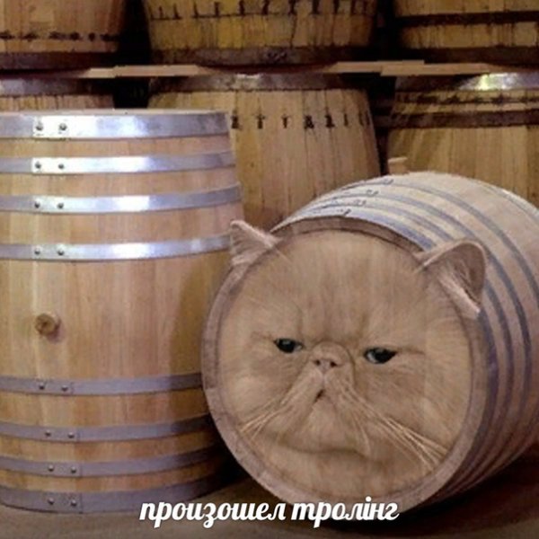 Смешные бочки