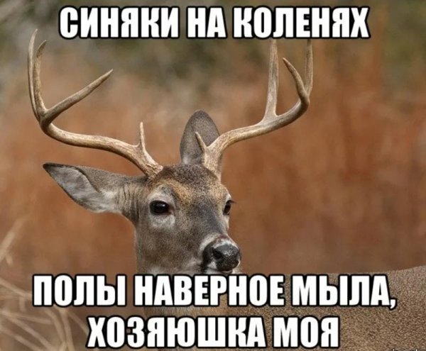 Мужик олень