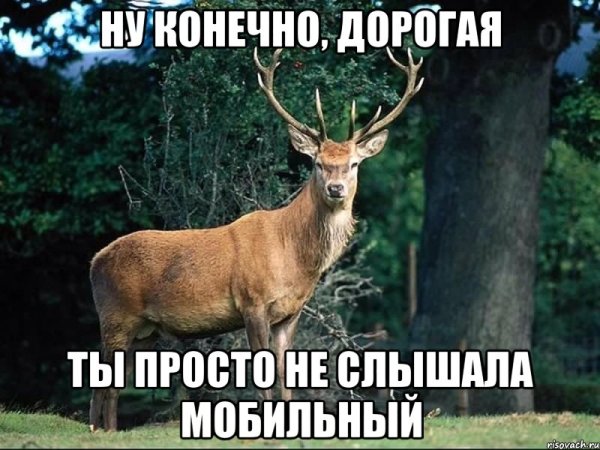 Олень Мем
