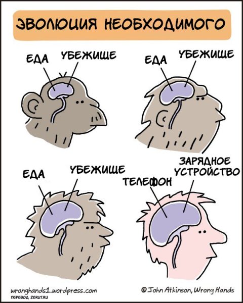 Эволюция смешные картинки