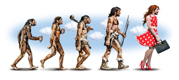 Эволюционная женщин