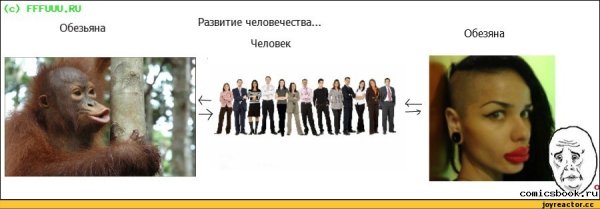 Мемы про обезьян и человека