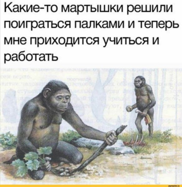 Обезьяна с палкой