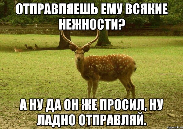 Благородный олень мемы