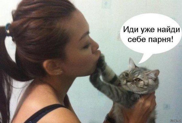 Кот и девушка прикол