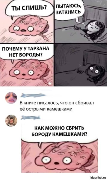 Мозг перед сном