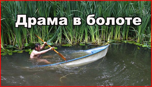 Болото юмор