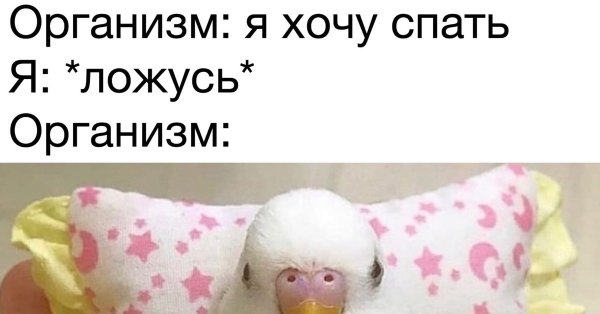 Мемы про сон