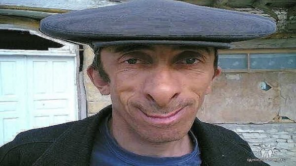 Хачина тупорогая