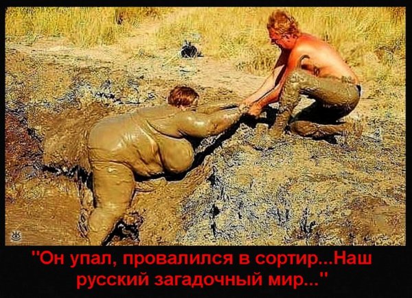 Ох нелёгкая это работа из болота тащить бегемота