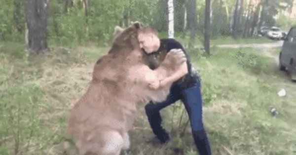Чел дерется с медведем