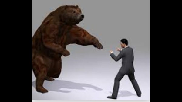 Медведь и человек