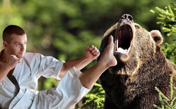 Медведь испугался