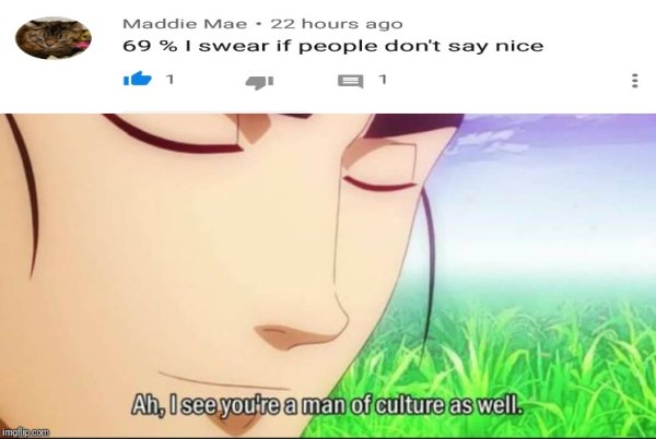 Я вижу вы человек высокой культуры Мем