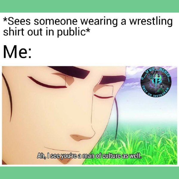 Вы человек высокой культуры Мем