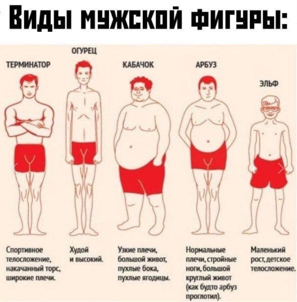 Типы мужских фигур