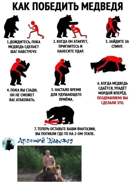 Медведь дерется с человеком