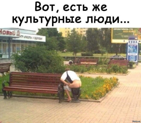 Вот есть же культурные люди