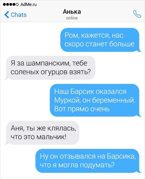Переписка с девушкой приколы