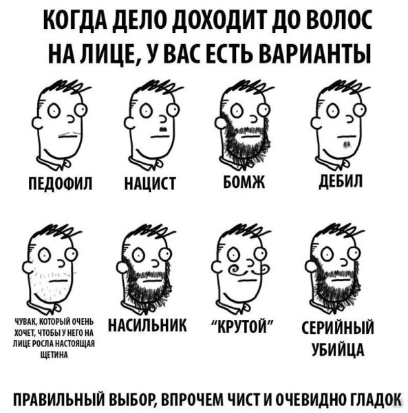 Борода прикол