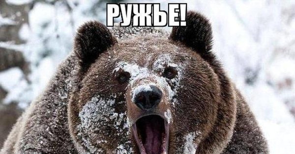 Медведь в снегу Мем