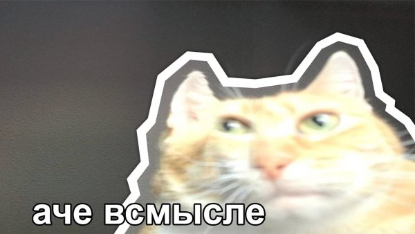 А че всмысле Мем кот