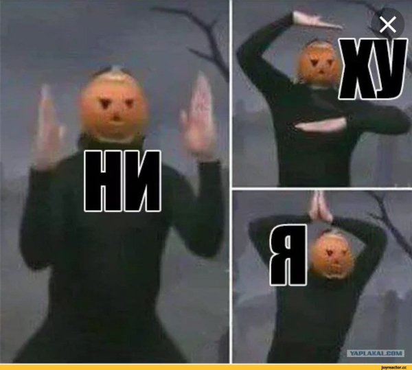 Ни-ху-я тыква