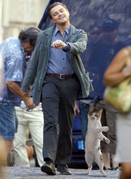 Леонардо ди Каприо идет