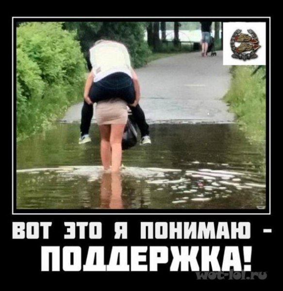 Демотиваторы поддержка