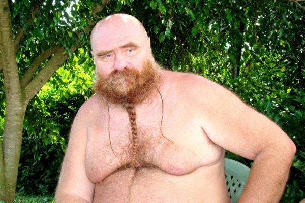 Толстый лысый бородатый мужик