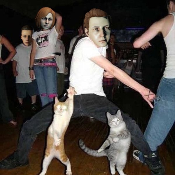 Коты танцуют человека
